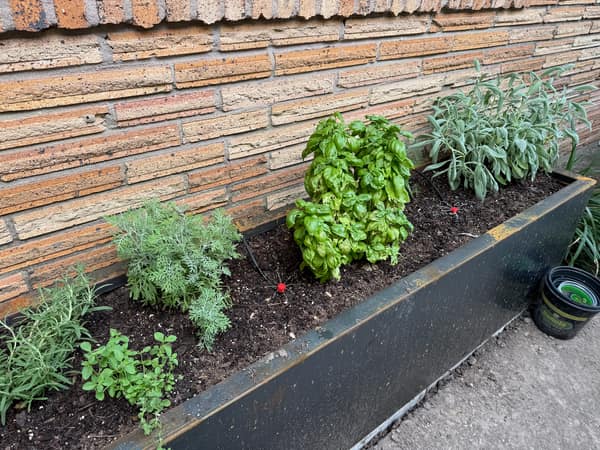 Herb Garden